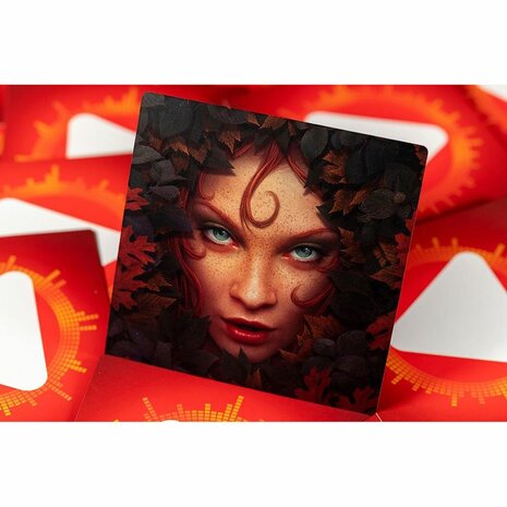 Disc Cover