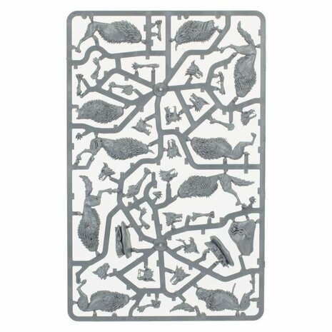 Warhammer: Age of Sigmar - Soulblight Gravelords: Fangs of the Blood Queen (Dawnbringers)