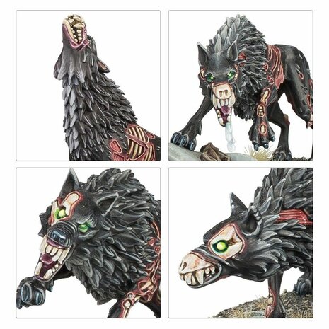 Warhammer: Age of Sigmar - Soulblight Gravelords: Fangs of the Blood Queen (Dawnbringers)