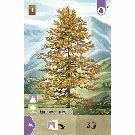 Forest Shuffle - Alpine