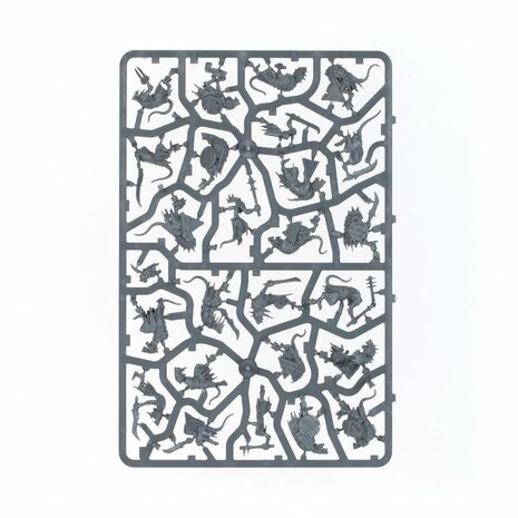 Warhammer: Age of Sigmar - Spearhead Ultimate Starter Set