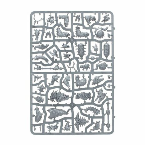 Warhammer Age of Sigmar: Spearhead – Seraphon | Games Workshop