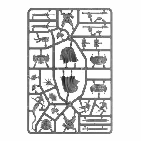 Warhammer: Age of Sigmar - Stormcast Eternals: Dracothian Guard​ - Games Workshop