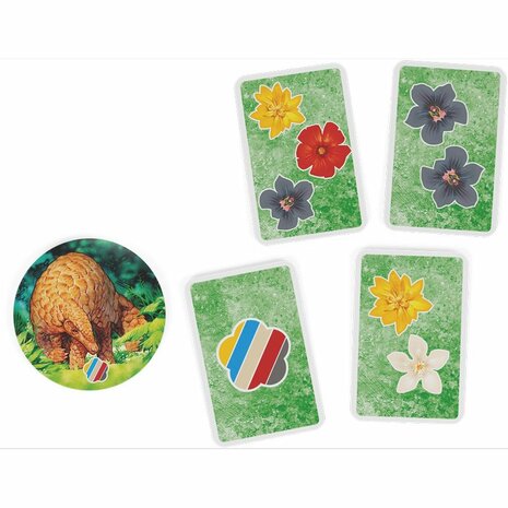 HUTAN: Leven in het Regenwoud – Strategisch Bordspel van Sidekick Games​