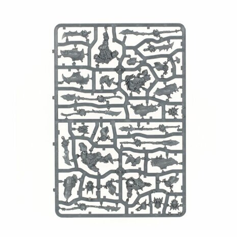 Warhammer Age of Sigmar – Orruk Warclans: Orruk Ardboys | Games Workshop