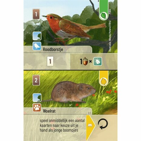 Forest Shuffle: Exploration – Veelzijdige Uitbreiding | Lookout Games