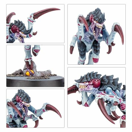 Warhammer 40,000 – Kill Team: Typhon – Expansion Set | Games Workshop