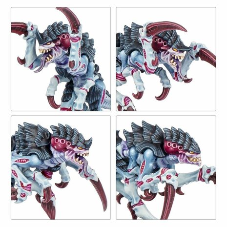 Warhammer 40,000 – Kill Team: Typhon – Expansion Set | Games Workshop