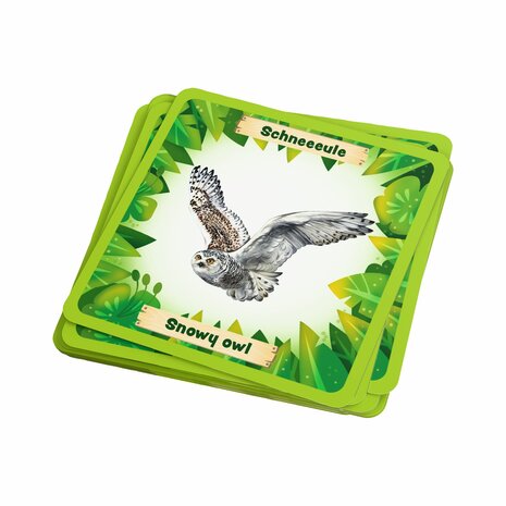 Dieren van de wereld Bingo (8+)