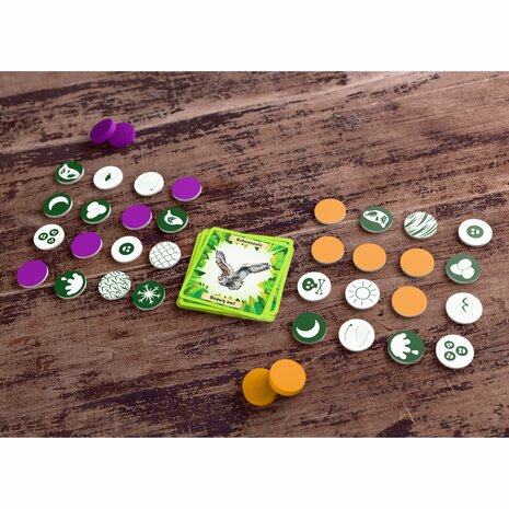 Dieren van de wereld Bingo (8+)