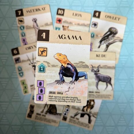 Kavango – Mazaza Games | Strategisch Bordspel Natuurreservaat