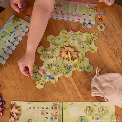 Gnome Hollow – Tegellegspel – White Goblin Games