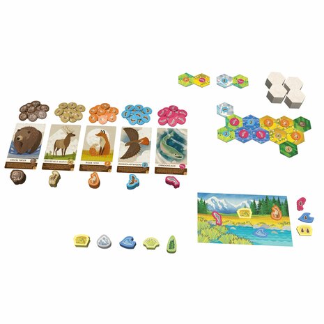 Cascadia Junior (NL) &ndash; Tegellegspel &ndash; White Goblin Games