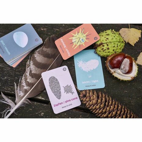 Seek And Find (4+) (DE/ENG) &ndash; zoek- en vind kaartenset &ndash; Terra Kids