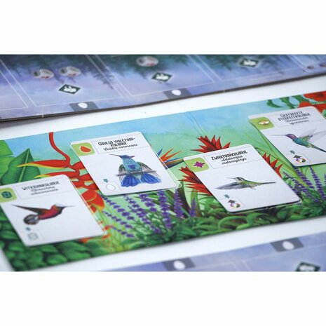 Wingspan: Midden en Zuid-Amerika &ndash; Bordspeluitbreiding met kolibries &ndash; 999 Games