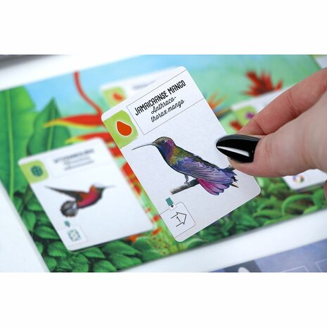 Wingspan: Midden en Zuid-Amerika &ndash; Bordspeluitbreiding met kolibries &ndash; 999 Games