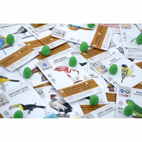 Wingspan: Midden en Zuid-Amerika &ndash; Bordspeluitbreiding met kolibries &ndash; 999 Games