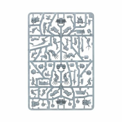 Warhammer 40,000 - Kill Team - Murderwing &ndash; Miniatuurset &ndash; Warhammer