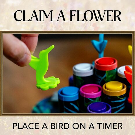 Hummingbirds &ndash; Bordspel &ndash; USAopoly