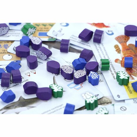 Finspan: Haaien en Riffen &ndash; Bordspeluitbreiding &ndash; 999 Games