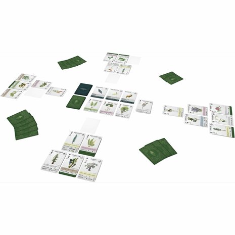 Reforest &ndash; Strategisch kaartspel &ndash; DSV Games