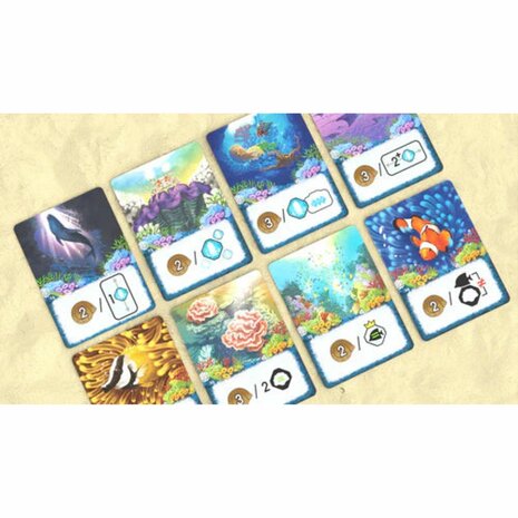 Shallow Sea &ndash; Puzzelbordspel &ndash; DSV Games