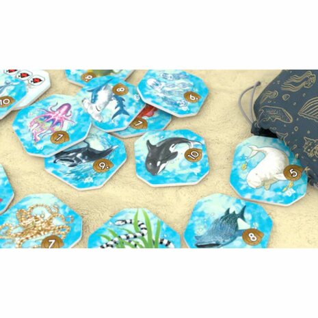 Shallow Sea &ndash; Puzzelbordspel &ndash; DSV Games