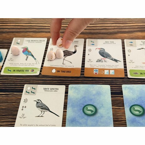 Wingspan Pocket &ndash; Bordspel &ndash; Stonemaier Games