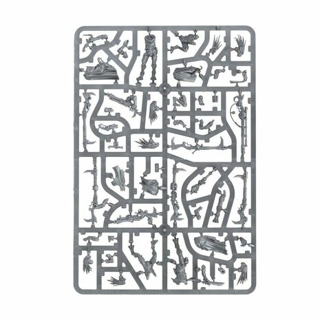Warhammer 40,000 - T'au Empire Kroot Farstalkers &ndash; Miniatuurset &ndash; Games Workshop