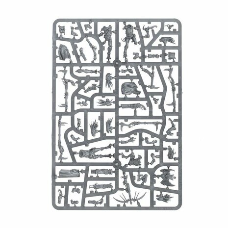 Warhammer 40,000 - T'au Empire Kroot Farstalkers &ndash; Miniatuurset &ndash; Games Workshop