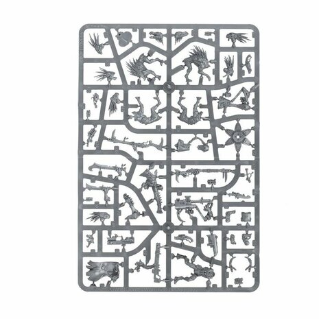 Warhammer 40,000 - T'au Empire Kroot Farstalkers &ndash; Miniatuurset &ndash; Games Workshop