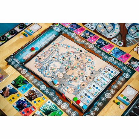 Aquaria &ndash; Bordspel &ndash; DSV Games