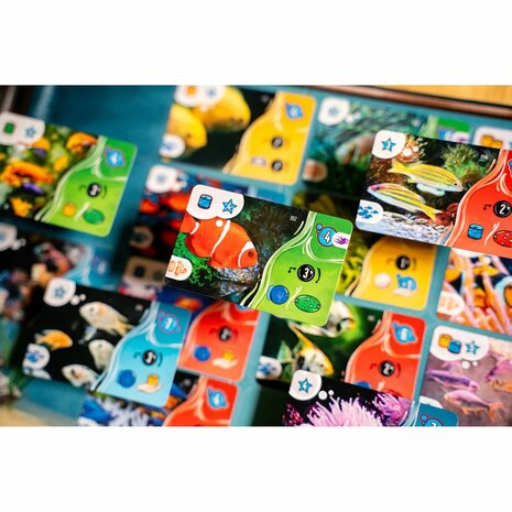 Aquaria &ndash; Bordspel &ndash; DSV Games