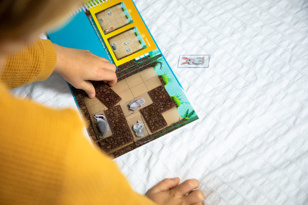 Down The Rabbit Hole (Magnetic Travel Games) (5+)