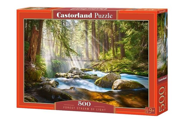 Forest Stream of Light - Puzzel (500)