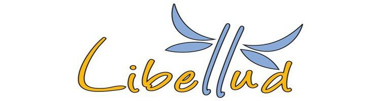 Rebel Dixit Erweiterung – Bauspiel Für Kreative Köpfe – Bunte Karten Für Fantasiereiche Geschichten – Familienspaß Ab 8 Jahren