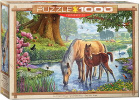The Fell Ponies - Puzzel (1000)