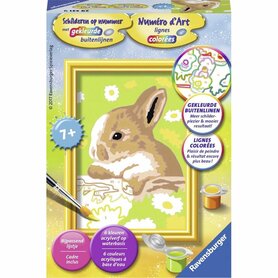 Schilderen op nummer: Konijn Vlekkie