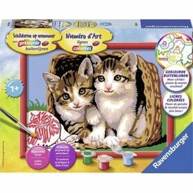 Schilderen op nummer: Katjes in mand