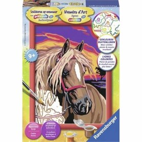 Schilderen op nummer: Droompaard