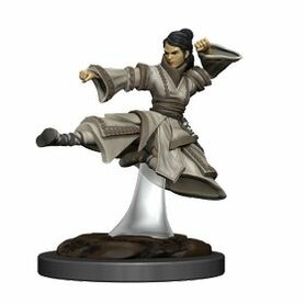 D&D Icons of the Realms: Human Monk Female (Premium Pre-Painted Miniature)