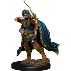 D&D Icons of the Realms: Elf Rogue Male (Premium Pre-Painted Miniature)