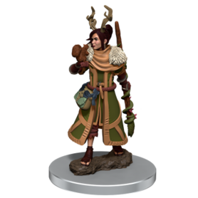 D&D Icons of the Realms: Human Druid Female (Premium Pre-Painted Miniature)