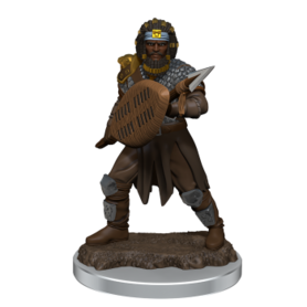 D&D Icons of the Realms: Human Fighter Male (Premium Pre-Painted Miniature)