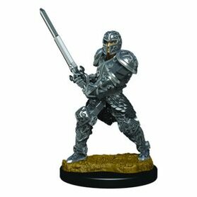 D&D Icons of the Realms: Human Fighter Male (Premium Pre-Painted Miniature)