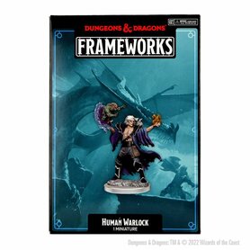 D&D Frameworks: Human Warlock Male