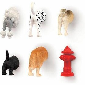 Dog Butt Magnets