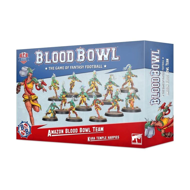 Afbeelding van het spelletje Blood Bowl: Kara Temple Harpies (Amazon Blood Bowl Team)